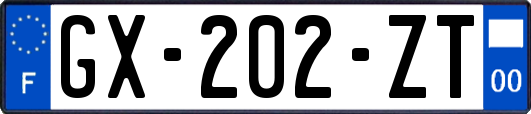 GX-202-ZT