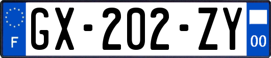 GX-202-ZY
