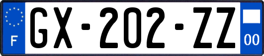 GX-202-ZZ