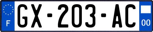 GX-203-AC