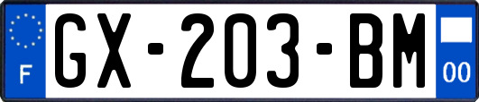 GX-203-BM