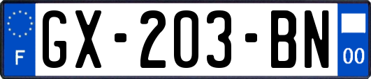 GX-203-BN