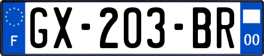GX-203-BR