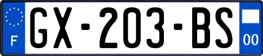 GX-203-BS