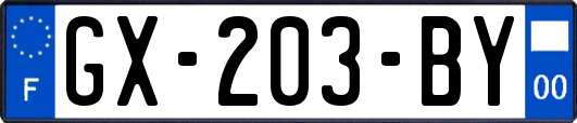 GX-203-BY