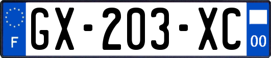 GX-203-XC