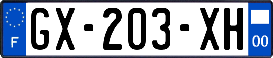 GX-203-XH