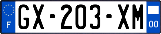 GX-203-XM