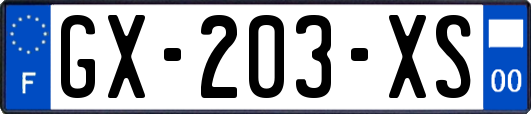 GX-203-XS