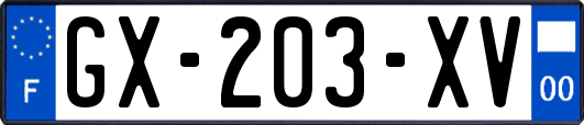 GX-203-XV