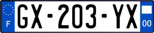 GX-203-YX