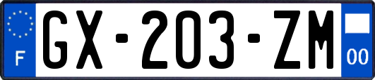 GX-203-ZM