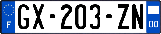 GX-203-ZN
