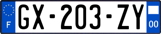 GX-203-ZY