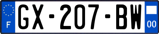 GX-207-BW