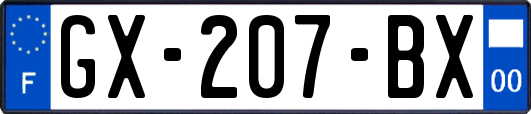 GX-207-BX