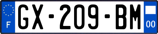 GX-209-BM