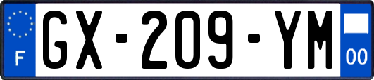 GX-209-YM