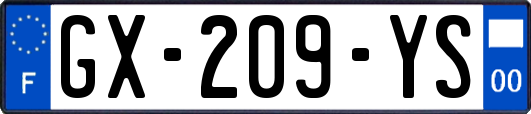 GX-209-YS