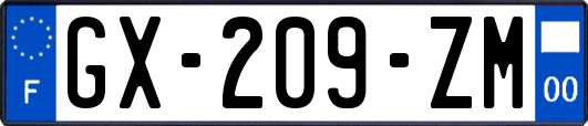 GX-209-ZM