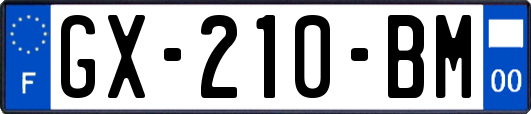 GX-210-BM