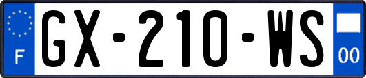 GX-210-WS