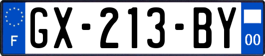 GX-213-BY