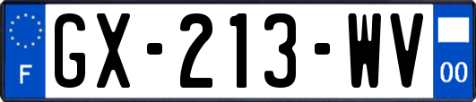 GX-213-WV