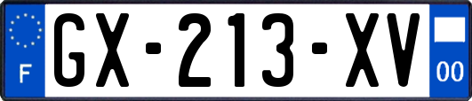 GX-213-XV