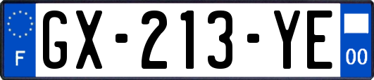 GX-213-YE