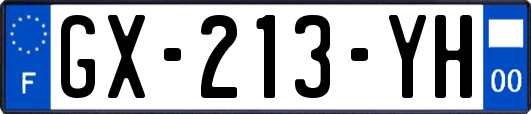 GX-213-YH