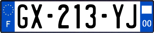 GX-213-YJ