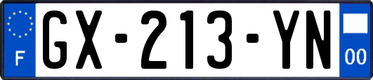 GX-213-YN
