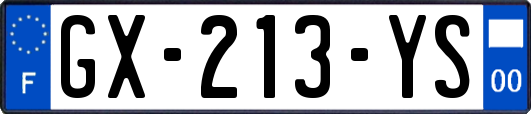 GX-213-YS