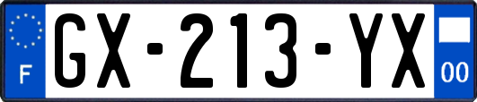 GX-213-YX