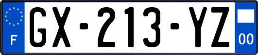 GX-213-YZ