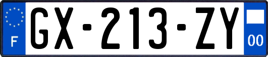 GX-213-ZY