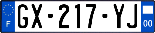 GX-217-YJ