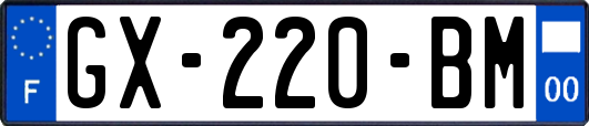GX-220-BM