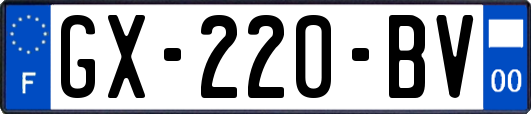 GX-220-BV