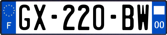 GX-220-BW