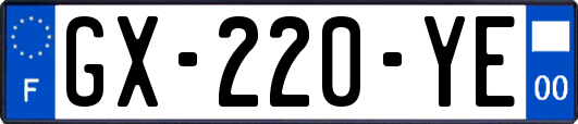 GX-220-YE