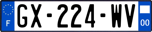GX-224-WV