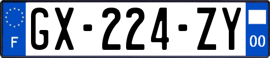 GX-224-ZY