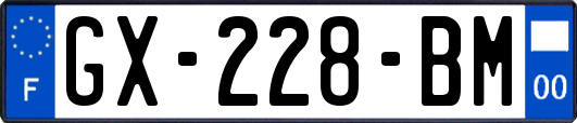 GX-228-BM