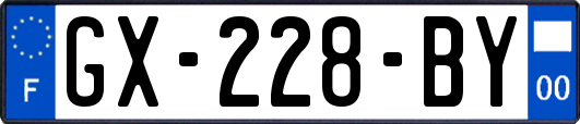 GX-228-BY