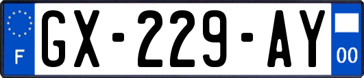 GX-229-AY