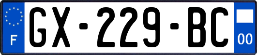 GX-229-BC