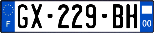 GX-229-BH