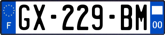 GX-229-BM